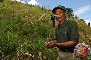 Hari Hutan diperingati dengan penanaman pohon