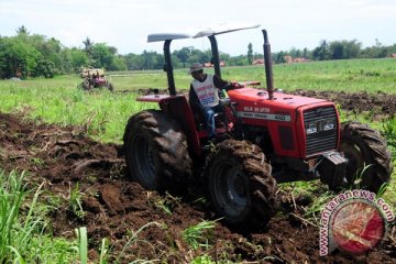 Lahan budidaya tebu di Jawa diperkirakan turun