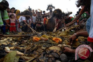 Penderita cacing pita babi banyak ditemukan di Papua