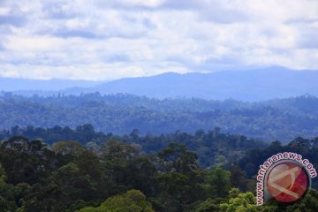 Mengintip kekayaan hayati Gunung Lumut