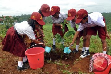 Temanggung siapkan 125.000 bibit pohon untuk hijaukan lahan kritis