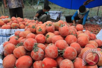 Lithuania dirundung kekacauan akibat harga bahan makanan