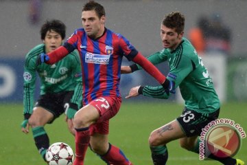 Schalke tanpa gol lawan Steaua