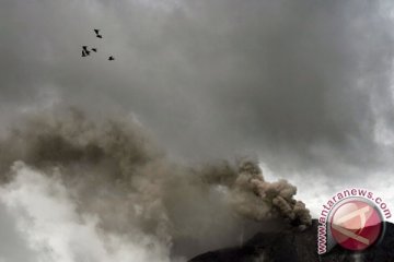 Tanggap darurat Sinabung diperpanjang