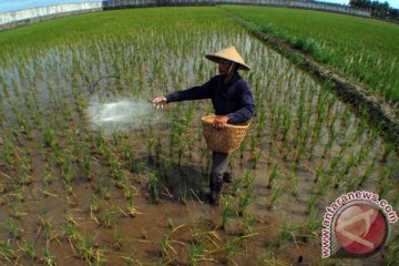 Program ketahanan pangan kawasan pesisir Tangerang-Banten diperkuat