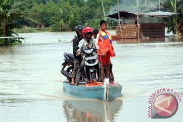 Banjir Bengawan Solo di hilir lambat surut