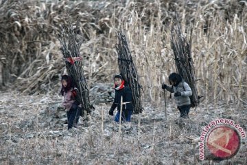 Korea Utara dilanda kemarau terburuk dalam 100 tahun