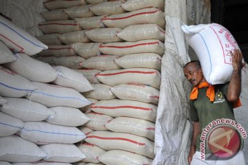 Kementan prediksi tahun ini surplus beras 4,2 juta ton
