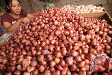 Harga bawang merah turun