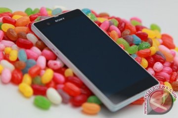Sony sediakan Android 4.3 Jelly Bean untuk Xperia