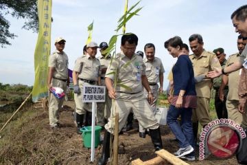Tanaman Penghijauan CSR Pusri