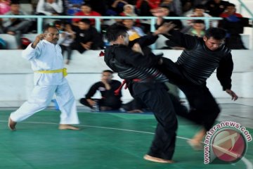 Pencak Silat