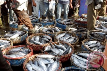 Menanti kebangkitan ekonomi Aceh dari laut