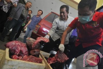 Kementan: penyelundupan daging celeng naik jelang Ramadhan