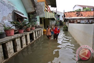 Pekalongan dan Batang masih terendam banjir