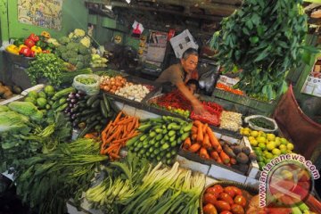 Indonesia mampu kurangi ketergantungan impor sayuran