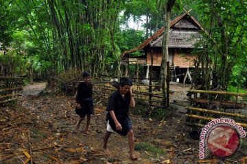 HuMa dorong harmonisasi kerangka hukum penetapan hutan adat