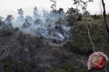 Pembakaran hutan Batam-Rempang-Galang terus terjadi