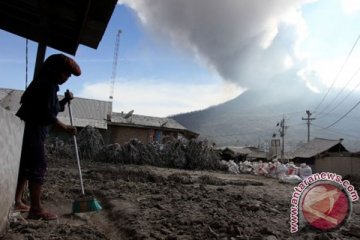 Pemerintah wacanakan pemulangan pengungsi Sinabung