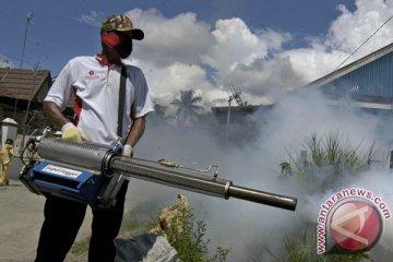 Dinkes Kota Kediri foging tekan penyebaran chikungunya