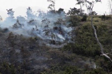 Pembakaran Hutan Alam/Joko Sulistyo