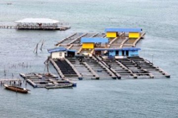 Perikanan Kelong Lesu/Joko Sulistyo