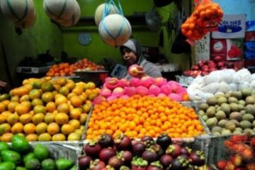 HARGA BUAH NAIK