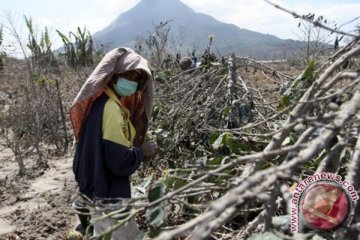 BNPB bentuk Ikatan Ahli Kebencanaan Indonesia