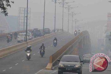 Kabut asap di Riau masuk rumah warga