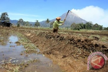 Pengungsi erupsi Sinabung di posko berkurang