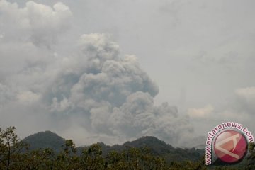 Abu vulkanik di Kediri mulai dibersihkan, ketebalan 5-8cm