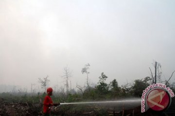 Ada 528 titik panas di Sumatera