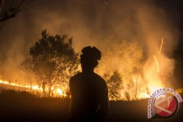 Titik panas Riau terbanyak di Bengkalis