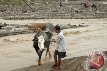 Zona merah Kelud jadi tontonan warga