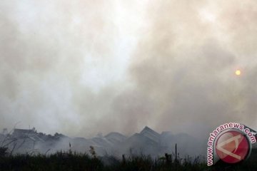 Lahan terbakar seratus keluarga di Riau mengungsi