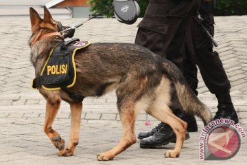 Polri kerahkan anjing pelacak kawal delegasi KAA