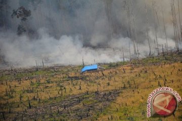 Dua hal kunci utama pelaksanaan REDD+ Indonesia