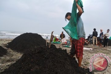 Penambang Limbah Batu Bara