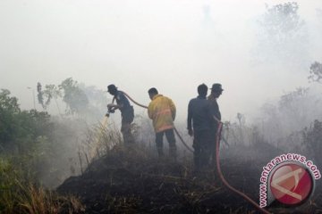 Luas lahan yang terbakar di Riau sampai 20.067 hektare