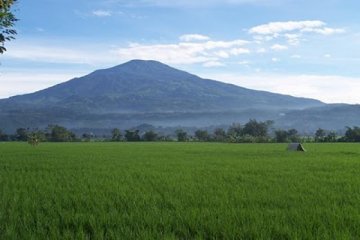 Hujan bantu padamkan kebakaran hutan Gunung Ciremai