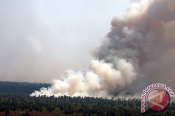 Korban jiwa akibat kebakaran hutan di Chile jadi 16 