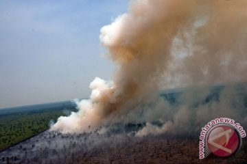 Udara Bengkalis kembali berbahaya akibat asap