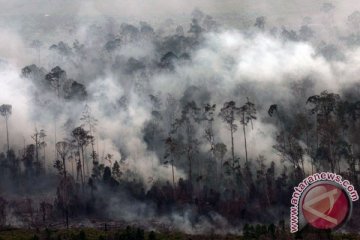 Asap Riau nyebrang ke Bengkulu