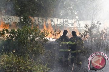 Titik api terlihat di 80 persen hutan Batam