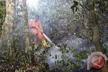Kebakaran hutan jadi sorotan Global Forum Lanscape
