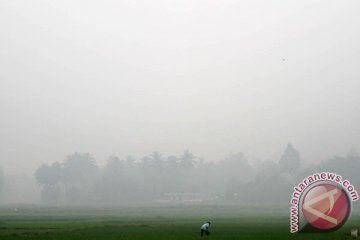 Kabut asap selimuti Sumbar murni kiriman