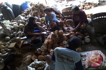 Produsen minyak kelapa Bantul terancam punah