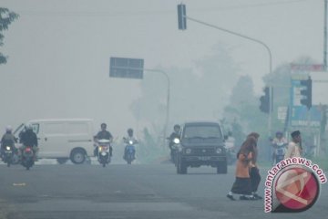 Kabut asap semakin tebal menyelimuti Bengkulu