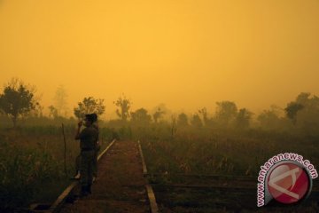 Kabut asap ancam keberlangsungan keanekaragaman hayati