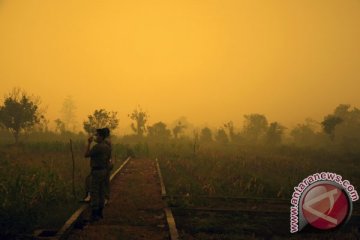 Kabut asap mulai tebal tapi belum berdampak bagi kesehatan